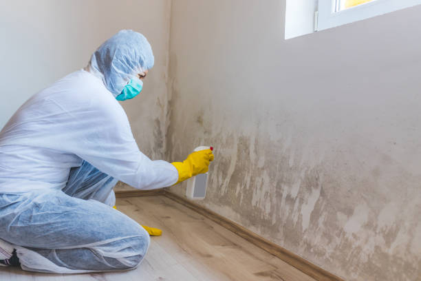Licensed Crawl Space Mold Removal service in Pflugerville, TX - WQB Mold Removal