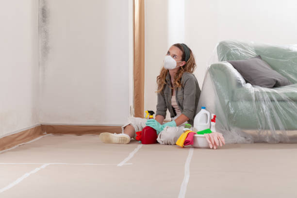 Reliable Crawl Space Mold Removal contractor in Pflugerville, TX by WQB Mold Removal