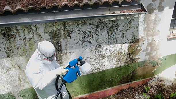 Top rated local Crawl Space Mold Removal specialists in Pflugerville, TX